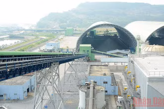 Kho than Nhà máy nhiệt điện Nghi Sơn 1 (Thanh Hóa).