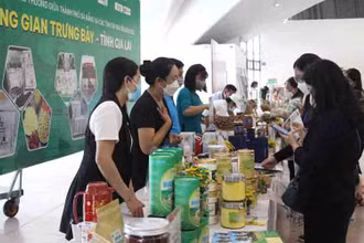 Các địa phương giới thiệu, kết nối sản phẩm tại Hội Nghị.