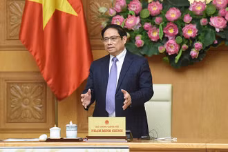 (Ảnh: TRẦN HẢI)