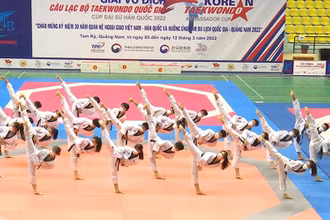 Biểu diễn Taekwondo tại lễ khai mạc.