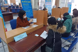 Một buổi tư vấn việc làm tại Sàn giao dịch việc làm, thuộc Trung tâm Dịch vụ việc làm tỉnh Thái Bình.