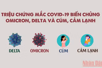 Khác biệt triệu chứng khi nhiễm Omicron, Delta, cúm và cảm lạnh