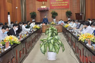 Đồng chí Nguyễn Quang Dương phát biểu tại buổi làm việc.