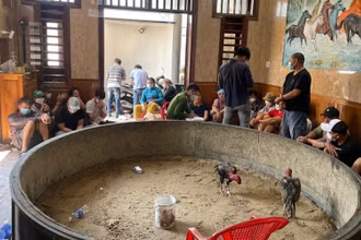 Hàng chục người bị phát hiện tại sới gà đá ăn tiền.