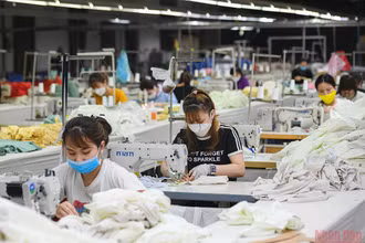 Công ty may Hoàng Sơn (KCN Ngọc Hồi, huyện Thanh Trì, Hà Nội) phấn đấu hoàn thành các chỉ tiêu, kế hoạch ở mức cao nhất. (Ảnh: THÀNH ĐẠT) 