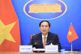 Bộ trưởng Ngoại giao Bùi Thanh Sơn. (Ảnh: TTXVN)
