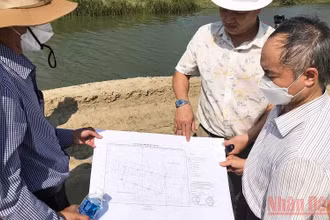 Đoàn công tác kiểm tra đoạn đường công vụ đắp bằng cát của Công ty TNHH Bình Minh-Ninh Thuận.