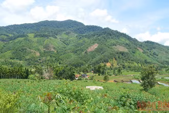 Vùng miền núi huyện Sơn Tây (Quảng Ngãi).