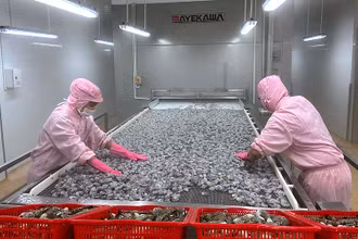 Việc F0, F1 cách ly tại nhà trong thời gian dài gây thiếu hụt lao động tại nhiều doanh nghiệp chế biến thủy sản.