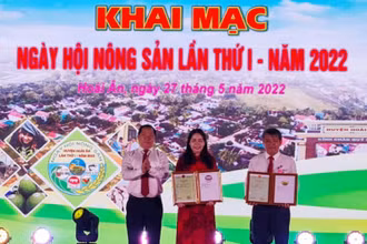 Dừa xiêm, bưởi da xanh, trà Gò Loi, heo và gà ta thả vườn của huyện Hoài Ân được công nhận nhãn hiệu tập thể.
