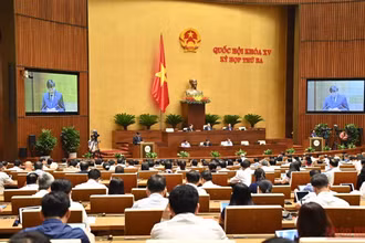 Các đại biểu Quốc hội dự phiên họp tại Hội trường Diên Hồng, chiều 25/5. (Ảnh: LINH KHOA)