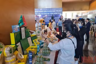 42 gian hàng trưng bày sản phẩm tiêu biểu của Bình Định, Hàn Quốc và các tỉnh, thành trong khu vực miền trung-Tây Nguyên.
