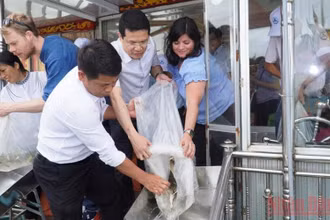 Lãnh đạo UBND tỉnh Thừa Thiên Huế cùng đại diện WWF Na Uy và WWF tại Việt Nam tiến hành thả cá để tái tạo nguồn lợi thủy sản. (Ảnh: CTV)