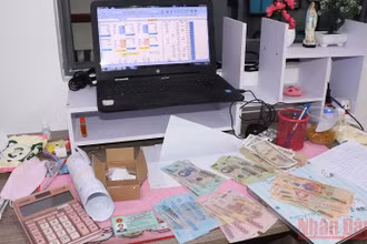 Tang vật thu giữ tại nhà đối tượng Phạm Thị Thảo Anh.