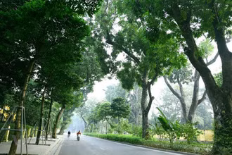 Ảnh minh họa.