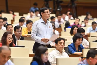 Đại biểu Nguyễn Hữu Chính (Hà Nội) phát biểu thảo luận về dự án Luật Cảnh sát cơ động tại hội trường ngày 26/5. (Ảnh: KHOA NGUYÊN)
