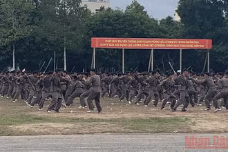 Các chiến sĩ biểu diễn kỹ năng võ thuật tại lễ bế giảng.