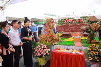 Phần thi tạo hình với sản phẩm đặc trưng là nhãn của huyện Sông Mã.