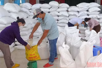 Cấp phát gạo hỗ trợ của Chính phủ đến người dân gặp khó khăn do đại dịch Covid-19 trên địa bàn tỉnh Phú Yên. (Ảnh minh họa: TRÌNH KẾ)