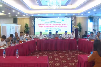 Các đại biểu tham gia diễn đàn.