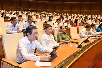 Các đại biểu Quốc hội tham gia phiên thảo luận, sáng 30/5. (Ảnh: KHOA NGUYÊN)