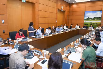 Quang cảnh phiên thảo luận tại Tổ 4 sáng 25/5. (Ảnh: LINH KHOA)