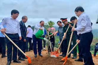 Chủ tịch nước Nguyễn Xuân Phúc tham gia trồng vườn cây mắc-ca tại xã Nà Nhạn (TP Điện Biên Phủ, tỉnh Điện Biên).