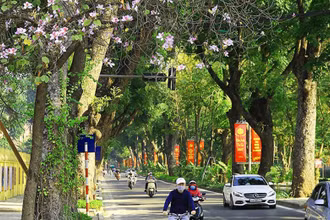 Ảnh minh họa.
