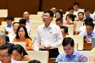 Đại biểu Nguyễn Văn Thi (Bắc Giang) phát biểu thảo luận tại hội trường sáng 31/5. (Ảnh: LINH NGUYÊN)