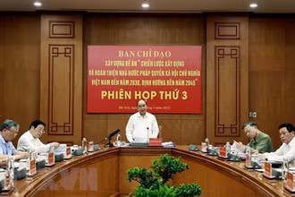 Chủ tịch nước Nguyễn Xuân Phúc, Trưởng Ban chỉ đạo phát biểu. (Ảnh: Thống Nhất/TTXVN)