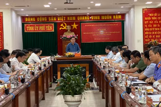 Quang cảnh buổi làm việc.