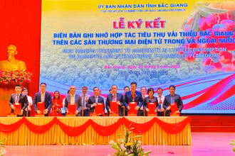 Đại diện Tập đoàn Central Retail ký kết tiêu thụ sản phẩm vài thiều Bắc Giang.