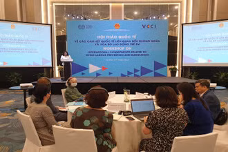 Các đại biểu tham gia thảo luận tại hội thảo.