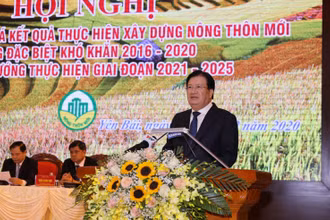 Phó Thủ tướng phát biểu tại Hội nghị.