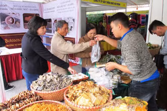 Người tiêu dùng mua sắm hàng hóa tại Hội chợ Vàng khuyến mại.