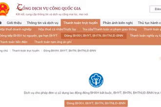 Cổng Dịch vụ công Quốc gia. (Ảnh chụp màn hình)
