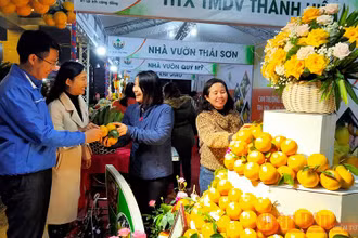Khai mạc Lễ hội Cam và các sản phẩm nông nghiệp Hà Tĩnh lần thứ tư