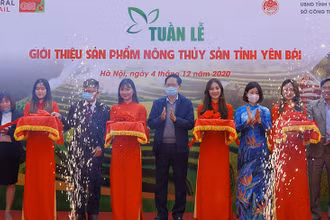 Nghi thức khai mạc Tuần hàng Yên Bái tại Big C Thăng Long. Ảnh: QUANG HƯNG