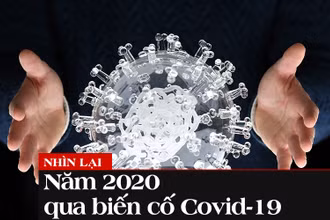 Nhìn lại năm 2020 qua biến cố Covid-19