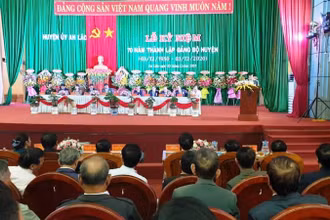 Quang cảnh Lễ kỷ niệm 70 năm thành lập Đảng bộ huyện An Lão (3-12-1950 – 3-12-1920) và 56 năm Chiến thắng An Lão (7-12-1964 – 7-12-1920).