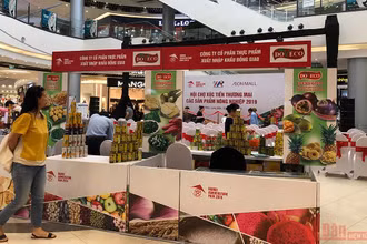 Các doanh nghiệp Việt Nam giới thiệu sản phẩm tại Hội chợ Xúc tiến thương mại các sản phẩm nông nghiệp năm 2019. (Ảnh minh hoạ)