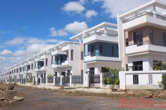 Dãy biệt thự xây dựng không phép ở dự án khu dân cư Tân Thịnh.