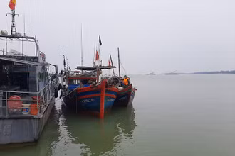 Các tàu vi phạm được đưa về cảng cá Cửa Hội.