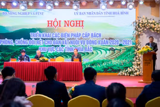Đồng chí Đinh Công Sứ, Phó Chủ tịch UBND tỉnh Hòa Bình phát biểu tại hội nghị.