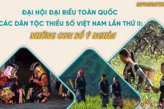 [Infographic] Đại hội đại biểu toàn quốc các dân tộc thiểu số Việt Nam lần thứ II: Những con số ý nghĩa