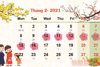 Đồ họa: Đăng Phi.