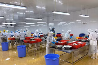 Hoạt động sản xuất trong thời gian giãn cách tại Công ty Cổ phần Camimex Group Cà Mau.