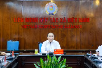 Chủ tịch Liên mnih HTX Nguyễn Ngọc Bảo chủ trì cuộc họp trực tuyến
