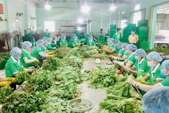 HTX Nông nghiệp Thương mại dịch vụ Phú Quới, xã Yên Luông, huyện Gò Công Tây, Tiền Giang tham gia cung cấp túi combo nông sản. Ảnh: Tổ công tác 970.