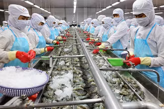 Xuất khẩu thủy sản đang gặp khó.